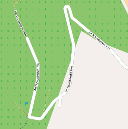 Am Schwalefelder Treis