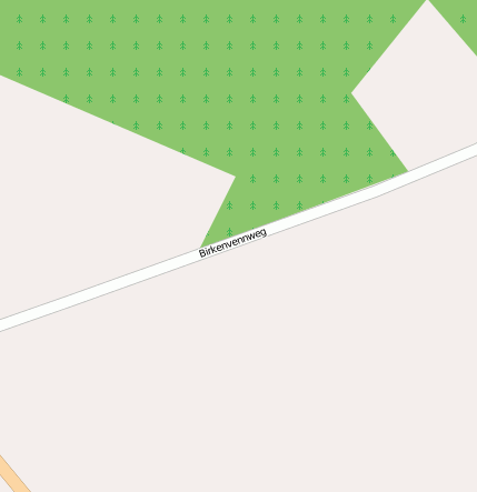 Birkenvennweg