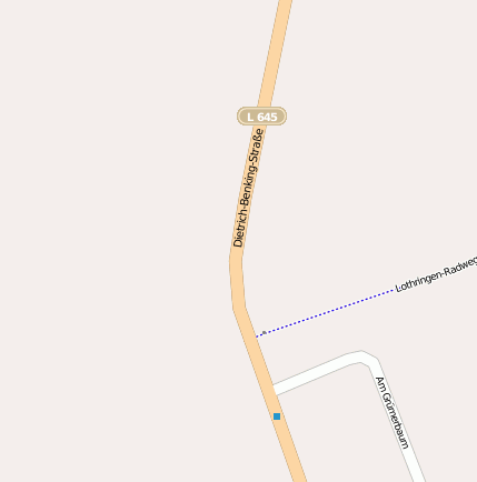 Dietrich-Benking-Str.