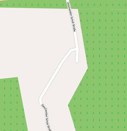 Geschwister-Scholl-Ring