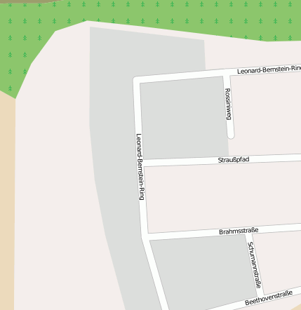 Leonard-Bernstein-Ring