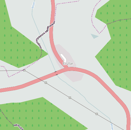 Enzlar