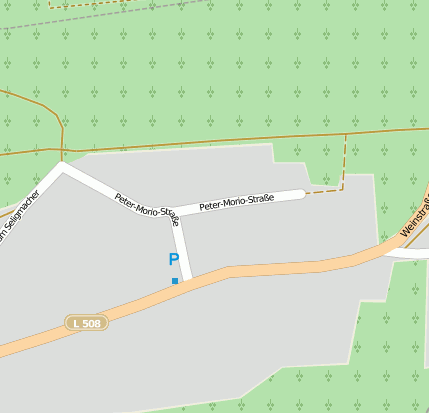 Peter-Morio-Str.