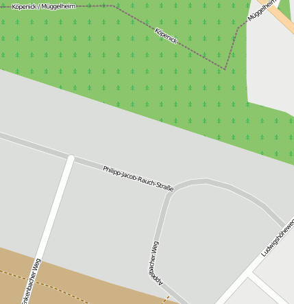 Philipp-Jacob-Rauch-Str.