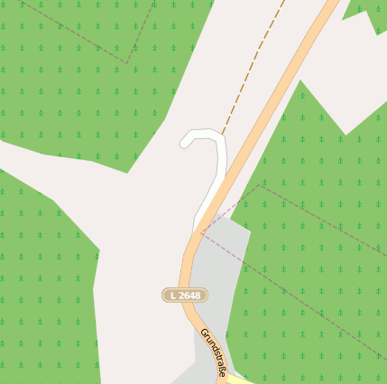 Remy-und-Geiser-Str.