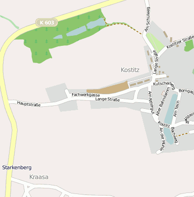 Kostitz