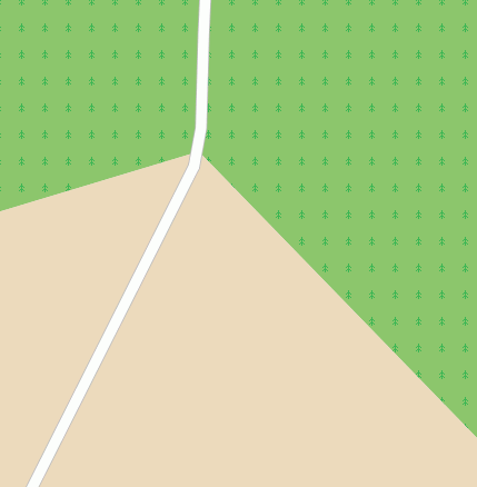 Straße zur Försterei