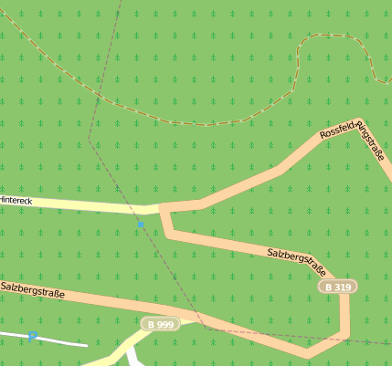 Roßfeld-Höhenringstraße